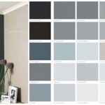 Asian Paint Grey Colour Shade Card