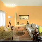 Asian Paints Color Combinations