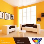 Berger Paints Interior Color Scheme Photos
