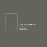 Cast Iron Paint Color