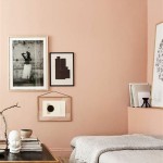 Light Peach Color Wall Paint