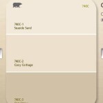 Oat Straw Paint Color