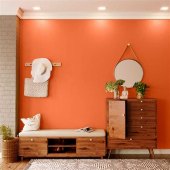 Asian Paints Colour Combination Orange