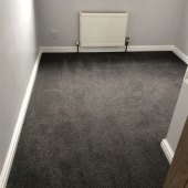 Best Paint Color Grey Carpet