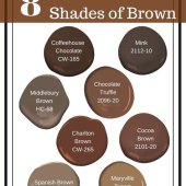 Brown Paint Color