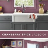 Cranberry Paint Color In The Kitchen