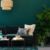 Green Wall Paint Shades