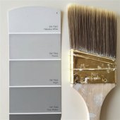 Grey Color Paint