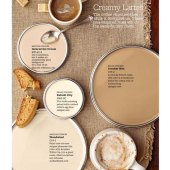 How To Make Latte Color Paint