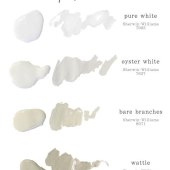 Oyster White Color Paint