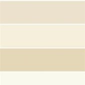 Shades Of Cream Color Paint