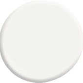 White Color Paint